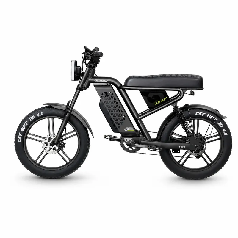 L1 OEM electric bike