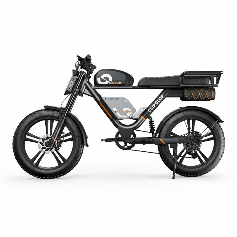 L2 OEM electric bike