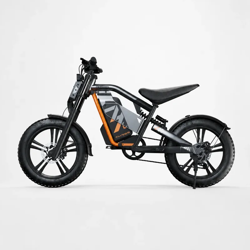 L3 OEM electric bike
