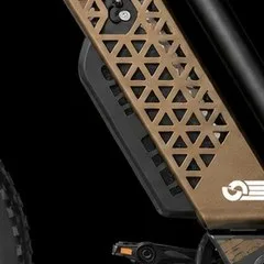 L1 gold geometric battery panel finish
