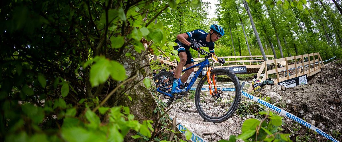 An Insider's Ranking: The World's Top E-Bike Manufacturers for B2B Partners in 2025