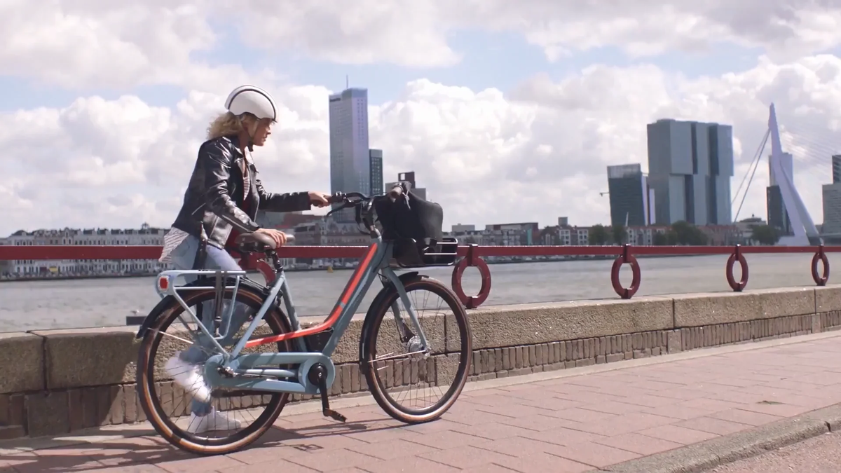An Insider's Ranking: The World's Top E-Bike Manufacturers for B2B Partners in 2025